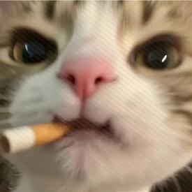 小呆呆