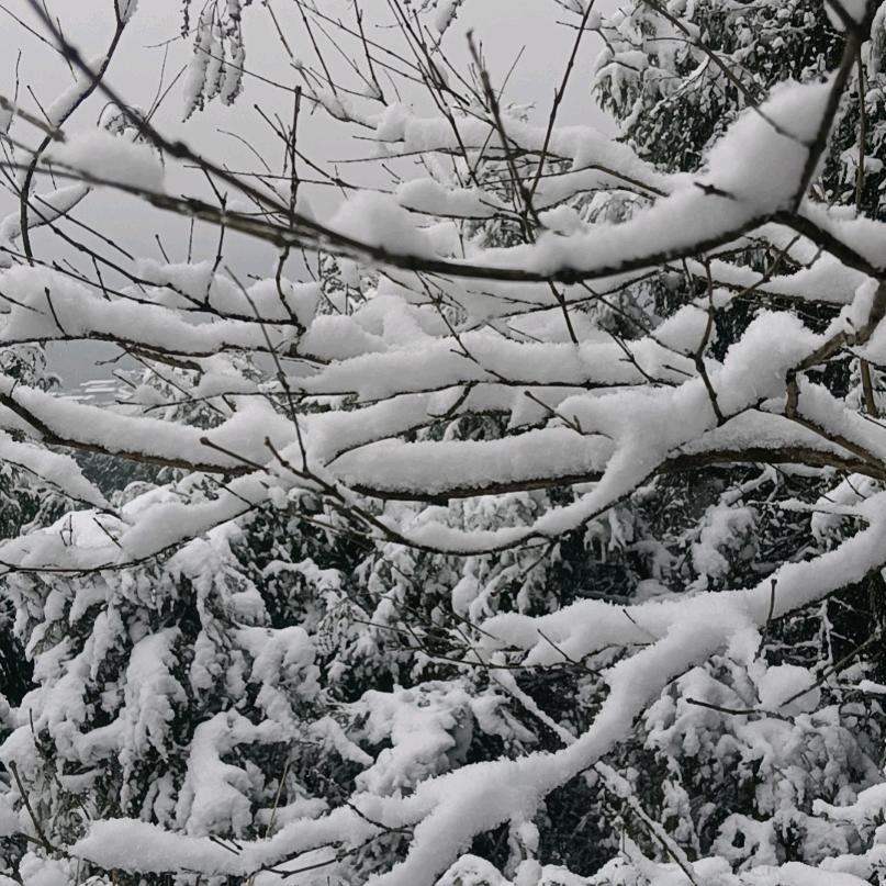 (●'◡'●)(づ￣3￣)╭❤～蜀山剑客