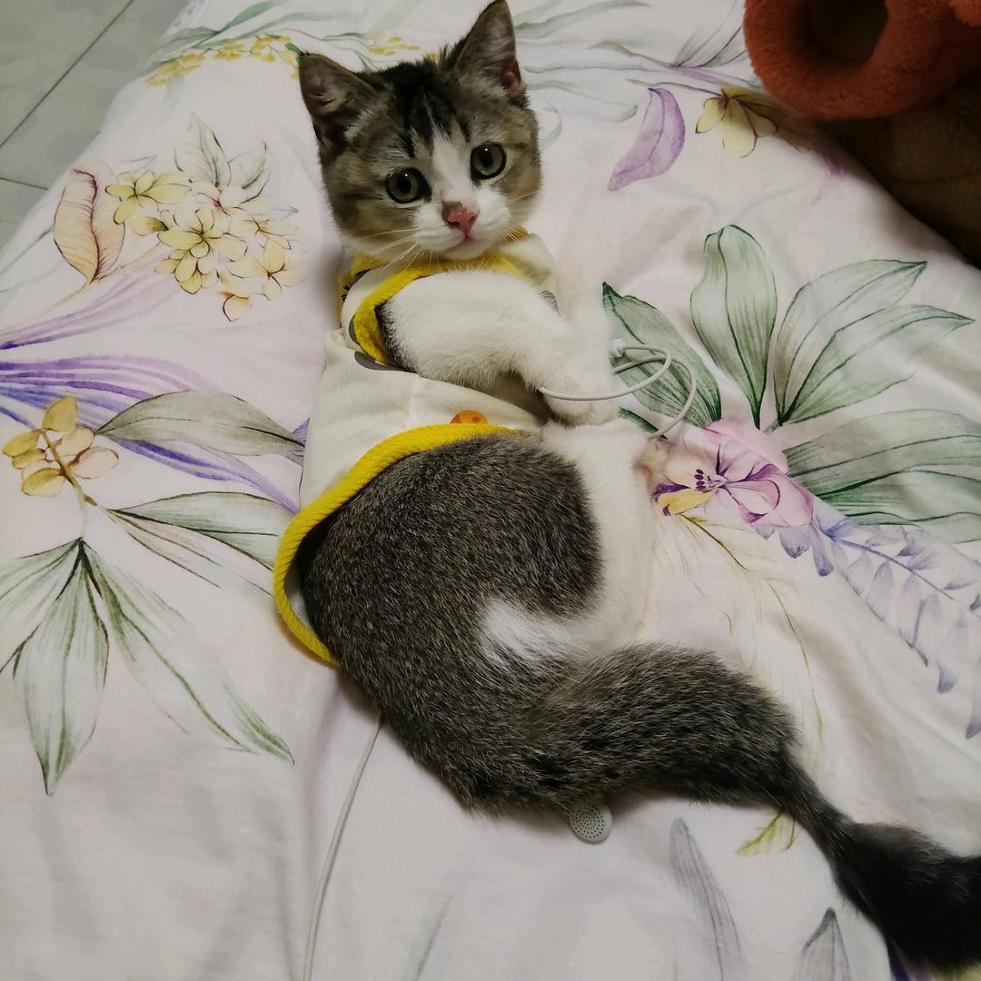 我是小学霸之二