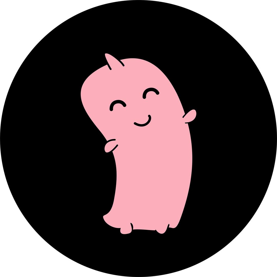 丸妃保健食品旗舰店