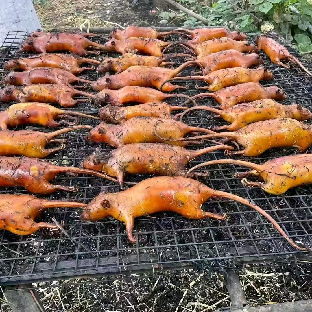 山林守护者