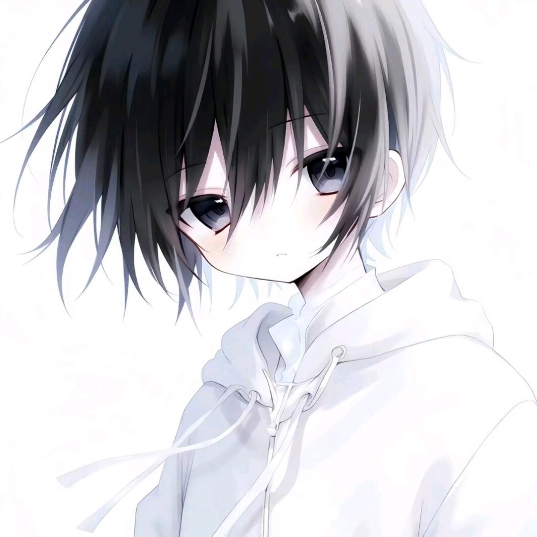 懿宝