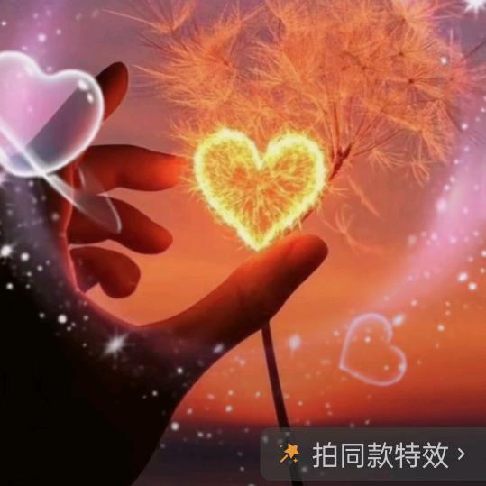 爱你一生一世1314