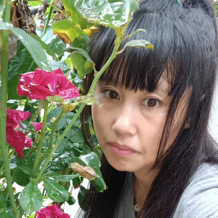 土家姑娘(在商丘)