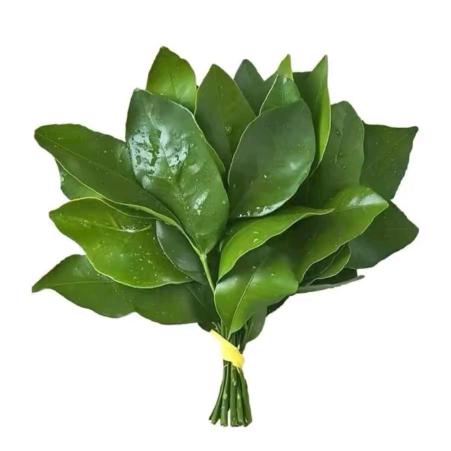 小  俊