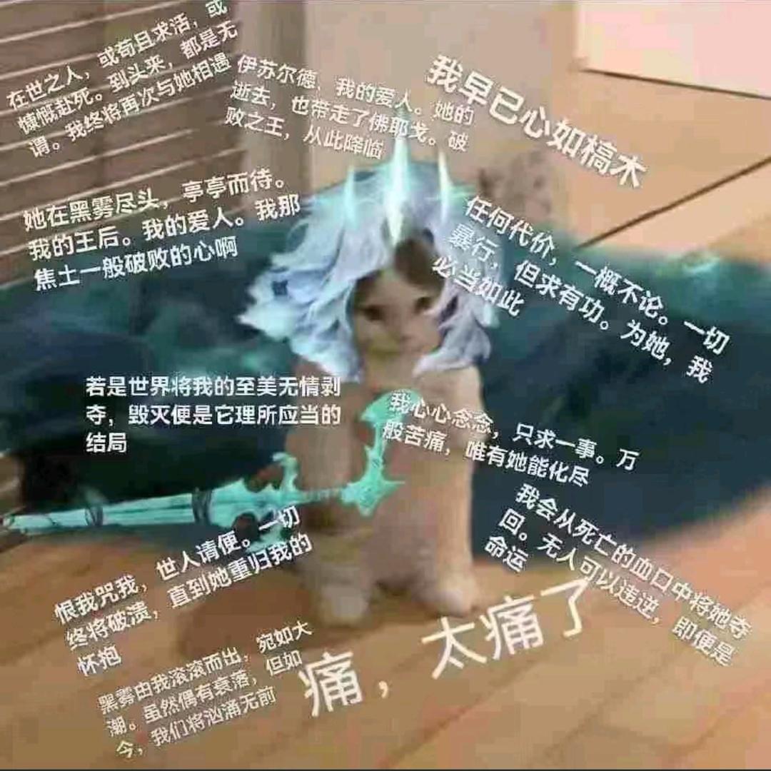 困了就想睡