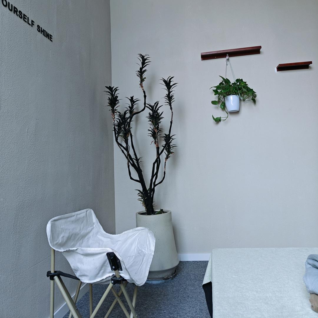 打酱油的胖胖李。