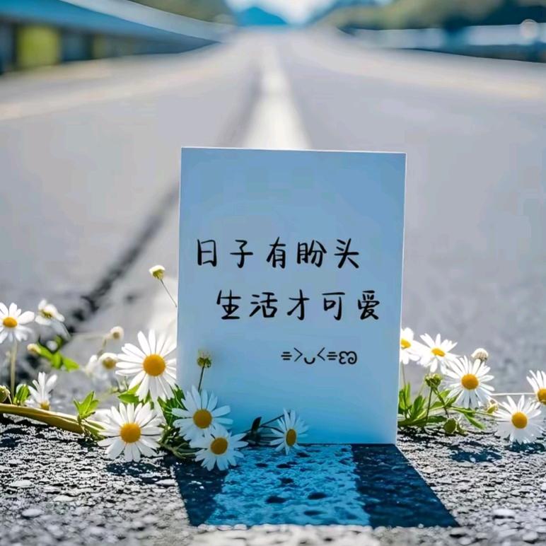 蝴蝶兰