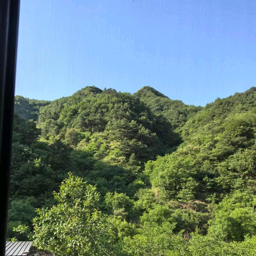嘟嘟妈爱分享