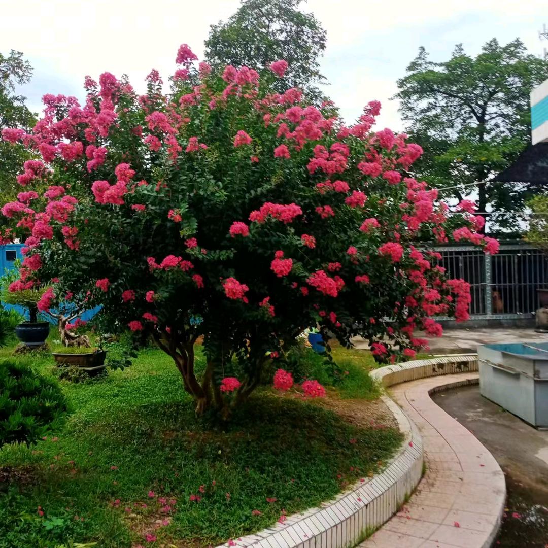 吉安市石山乡中居家🌹