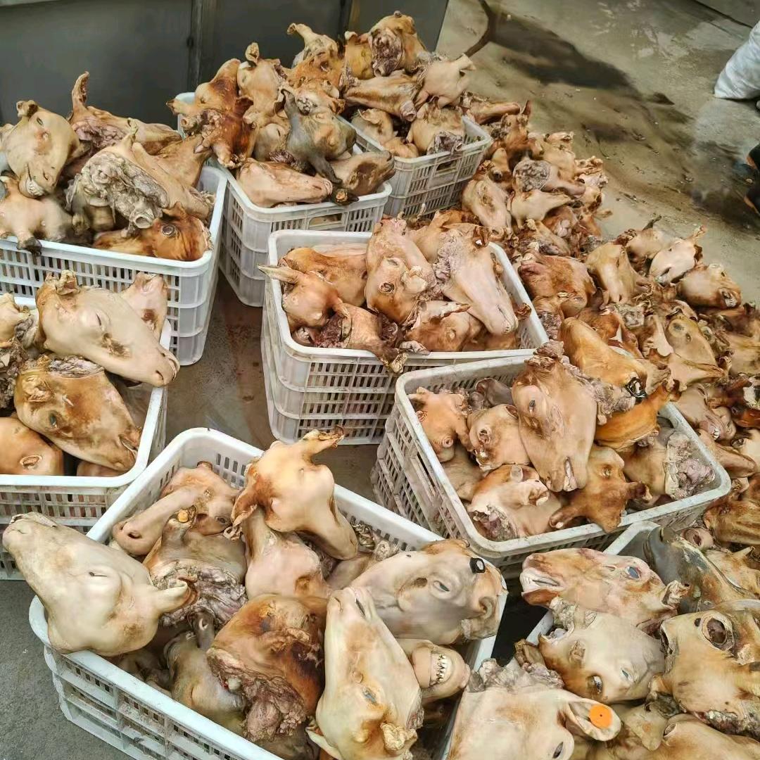 。批发羊副产品，羊头，羊蹄，肚包肉，羊肚