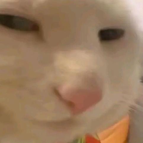 入木几