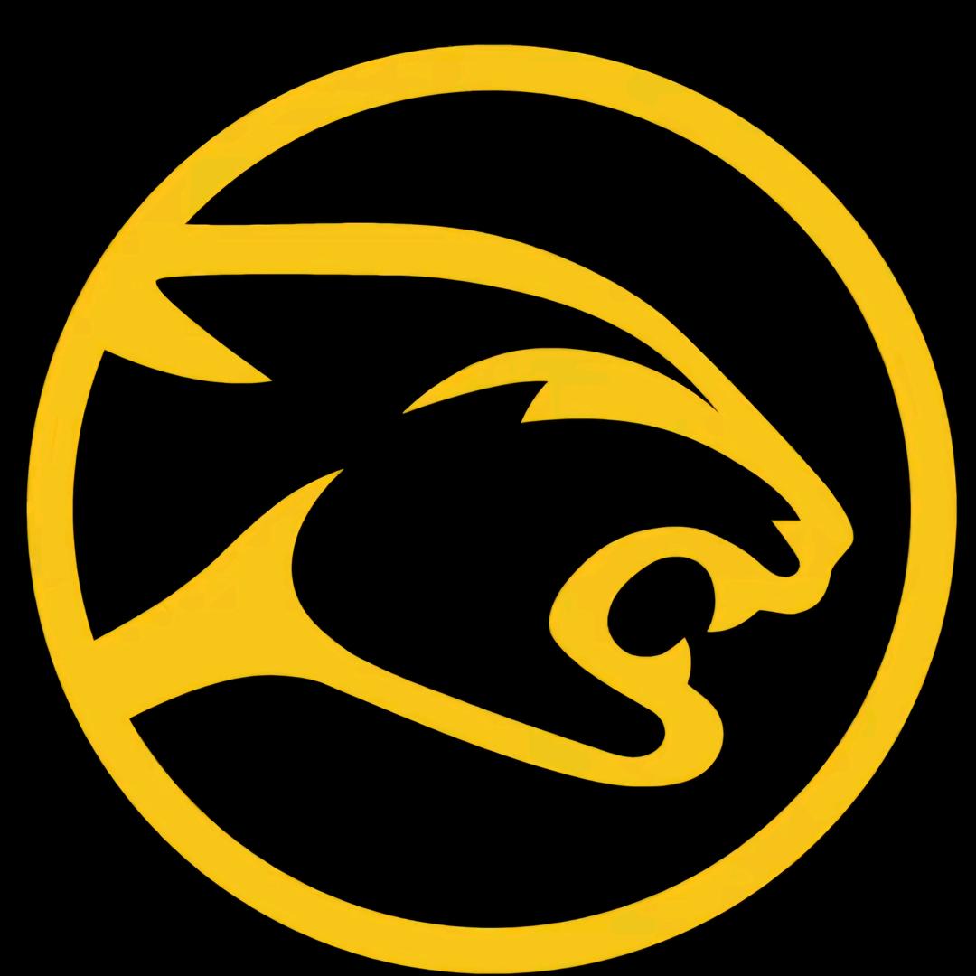 玖号台球器材～欧哥