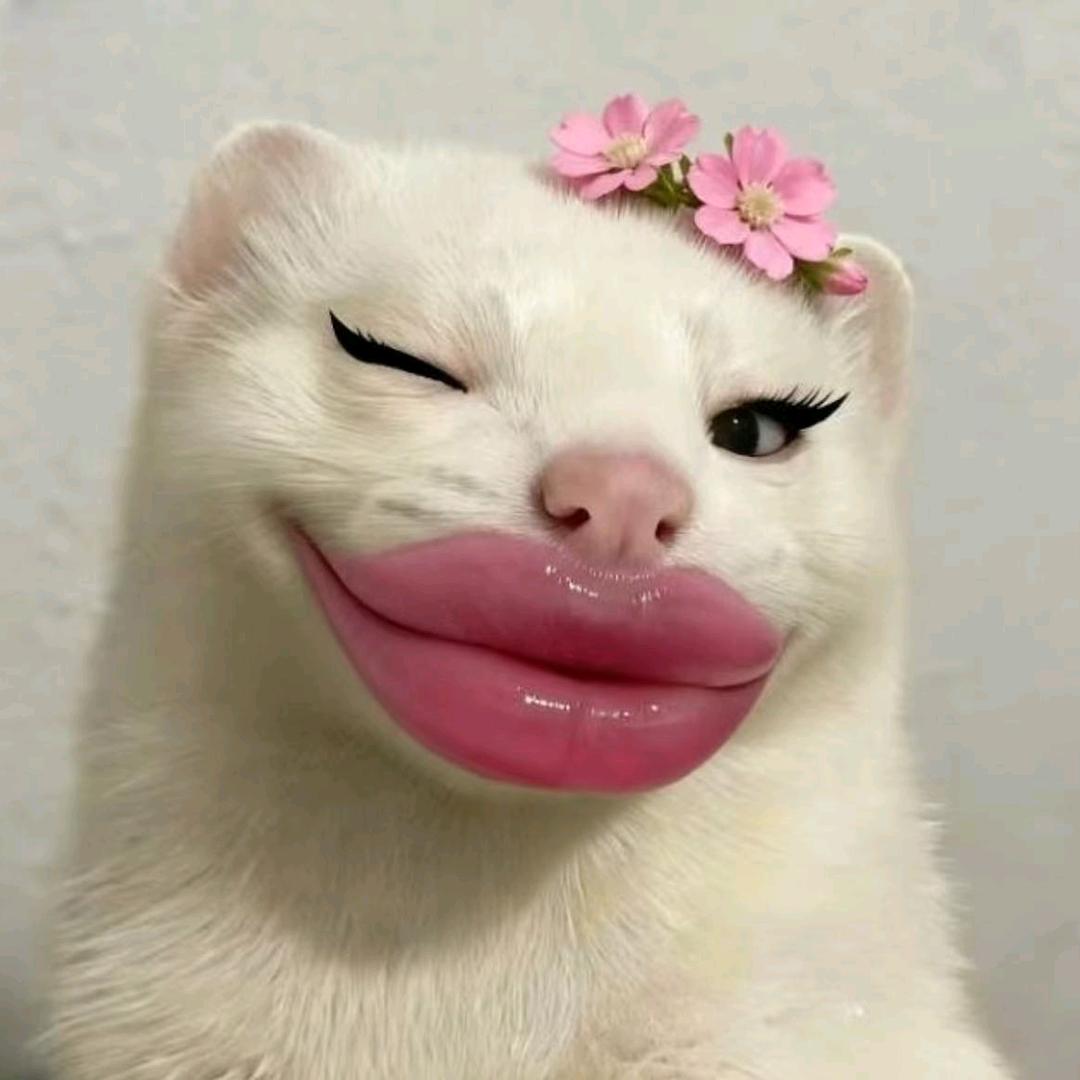 嗯.🐳