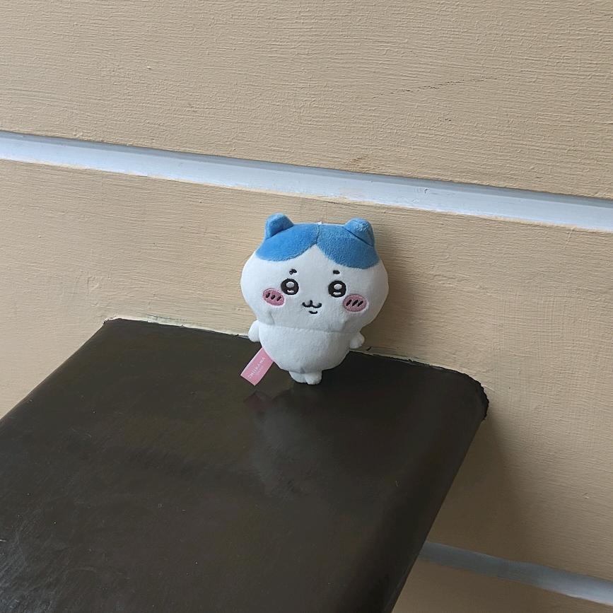 公主抬镜谁敢躲