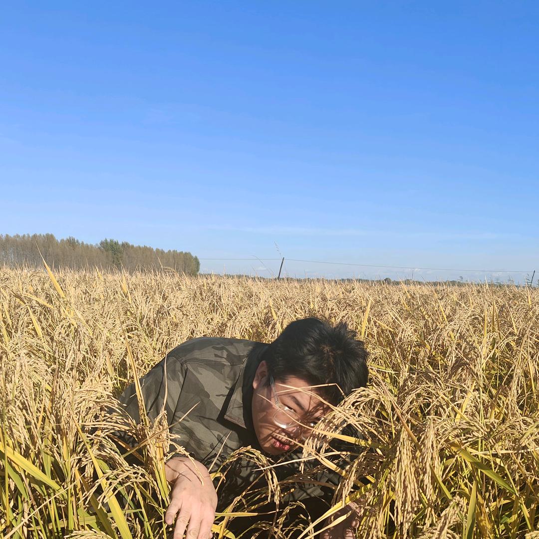 不易米行（庆安大米）