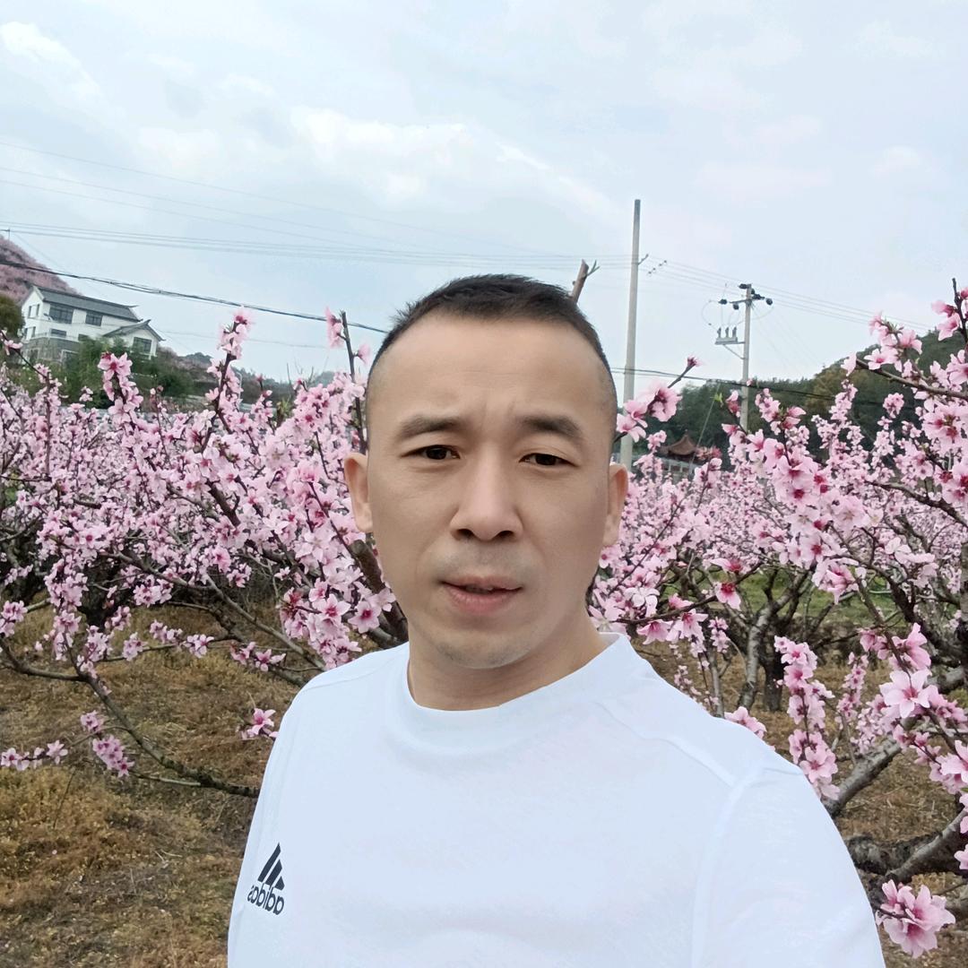 昨天下了一夜的雨