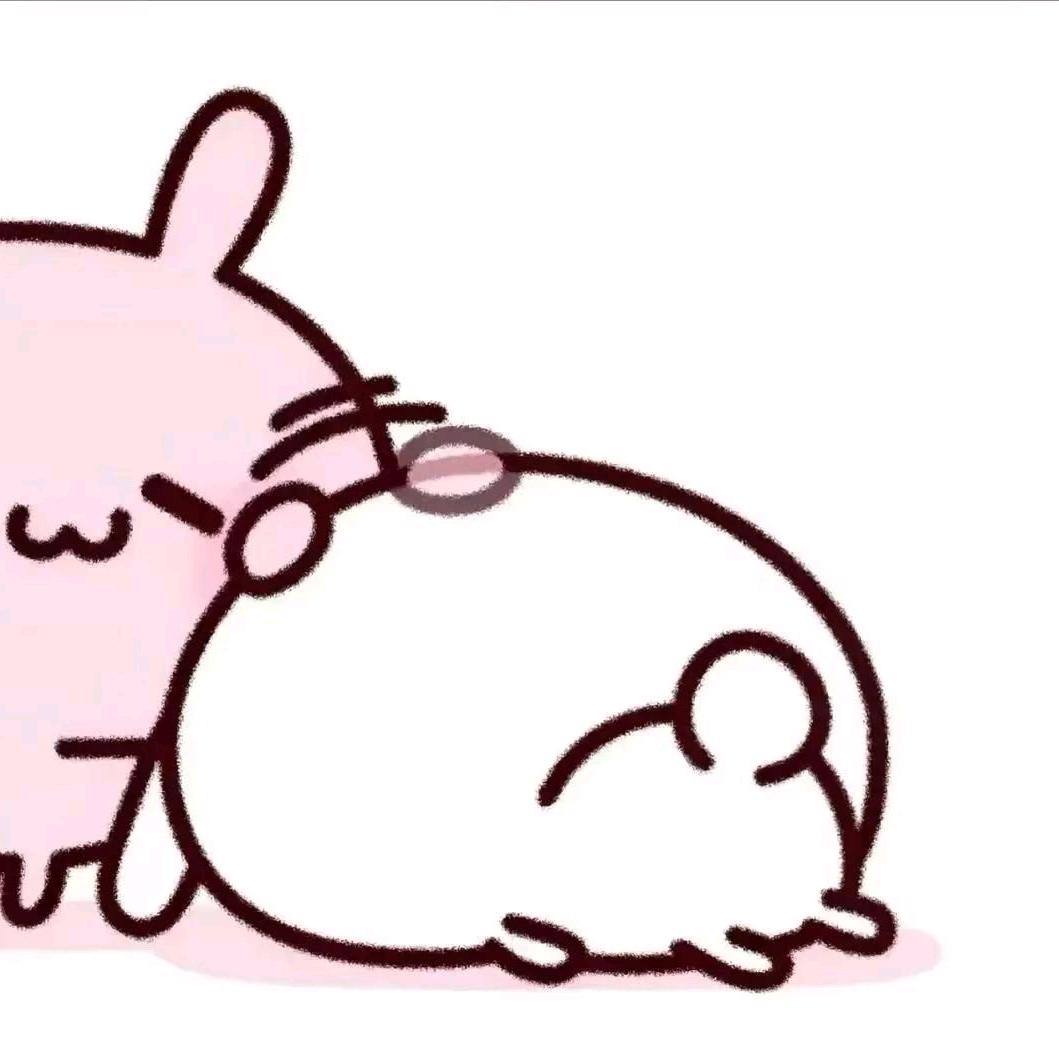 静静笨小猪🐷