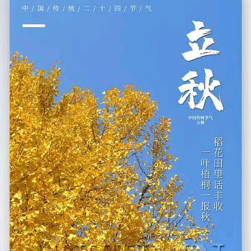 立秋头像