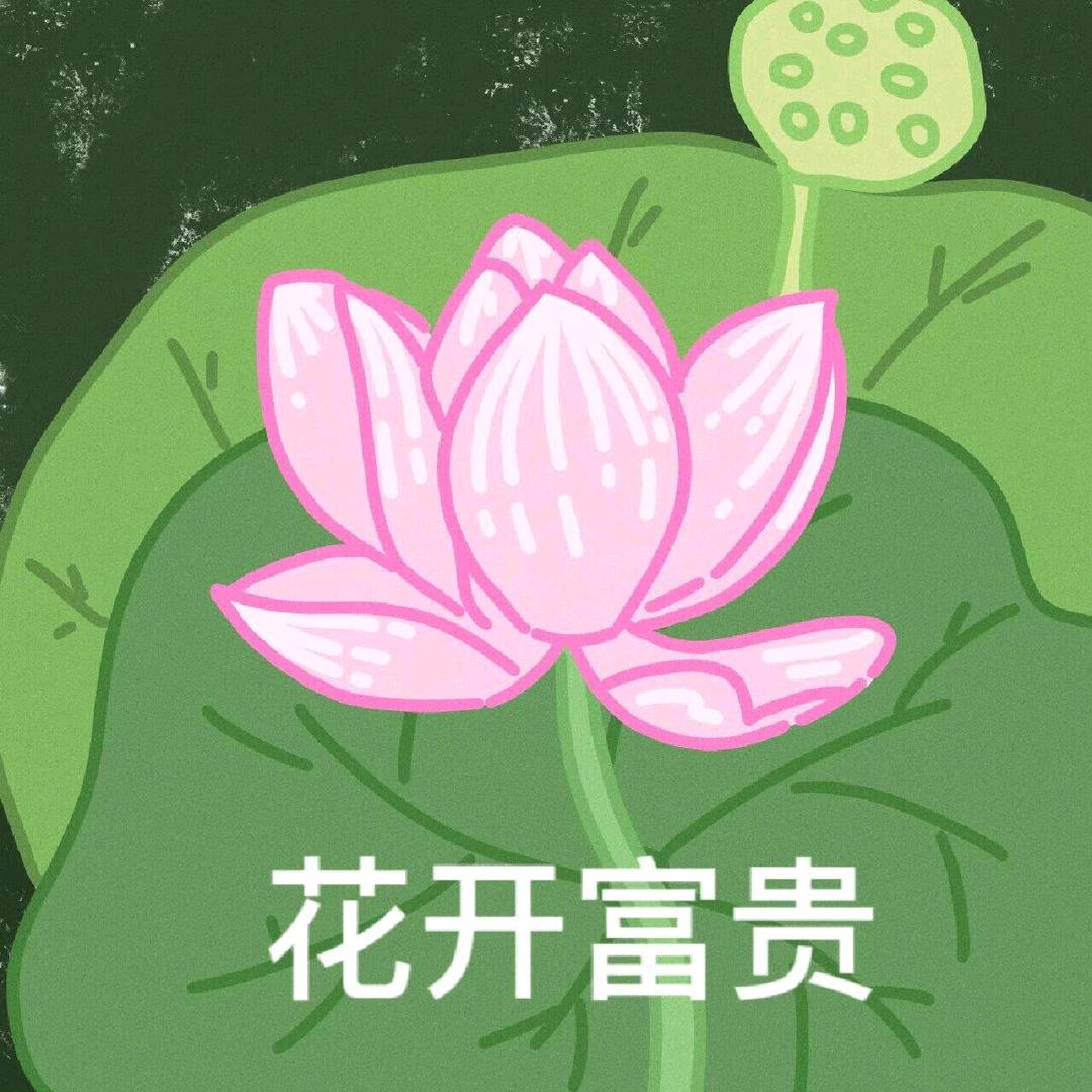 新好物星