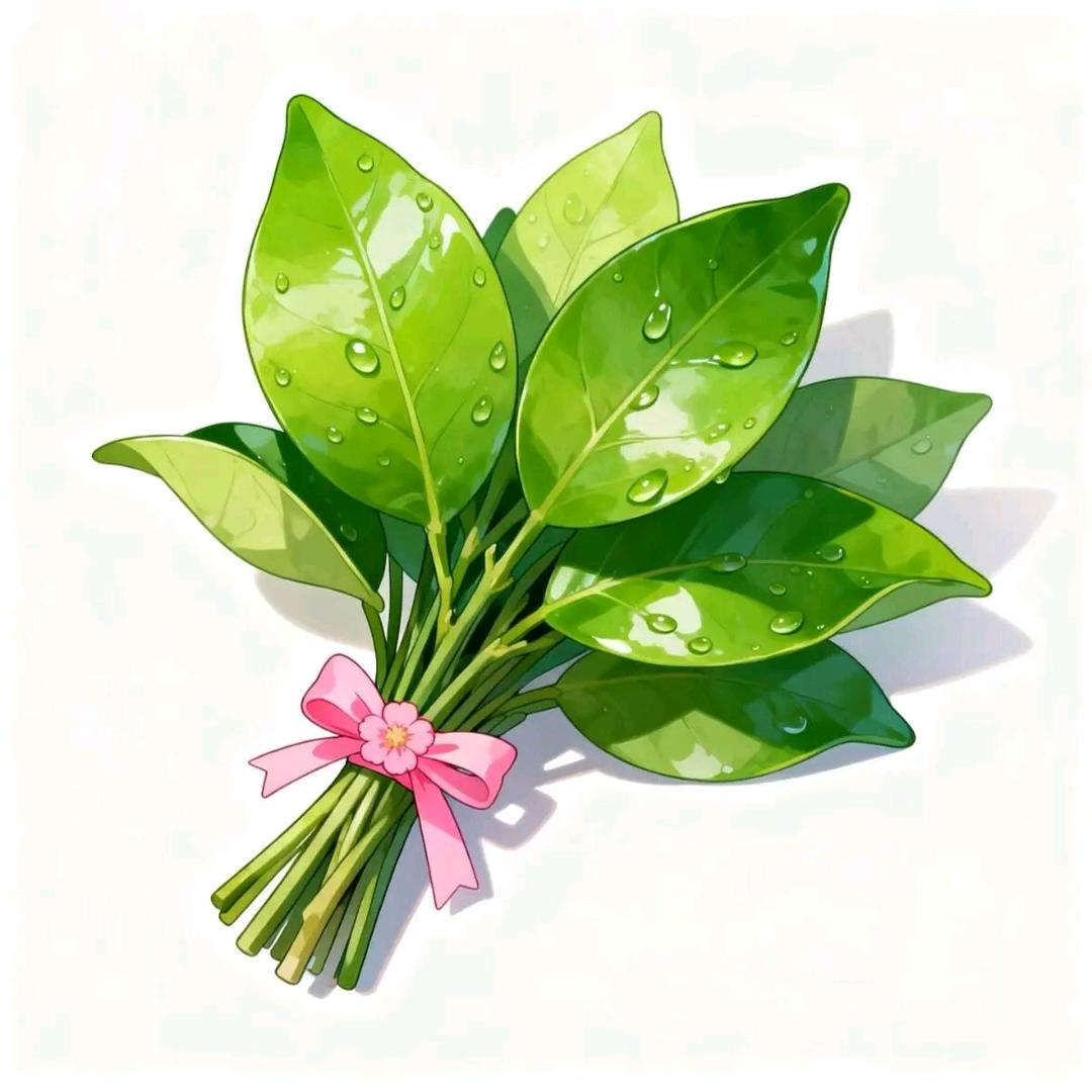 ♀……陌巷繁花……♀