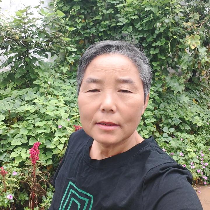 金乡老赵