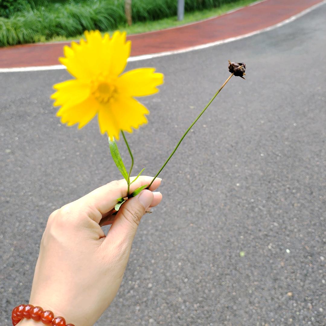 阳光☀️，晴天(ᵔᴥᵔ)☀️