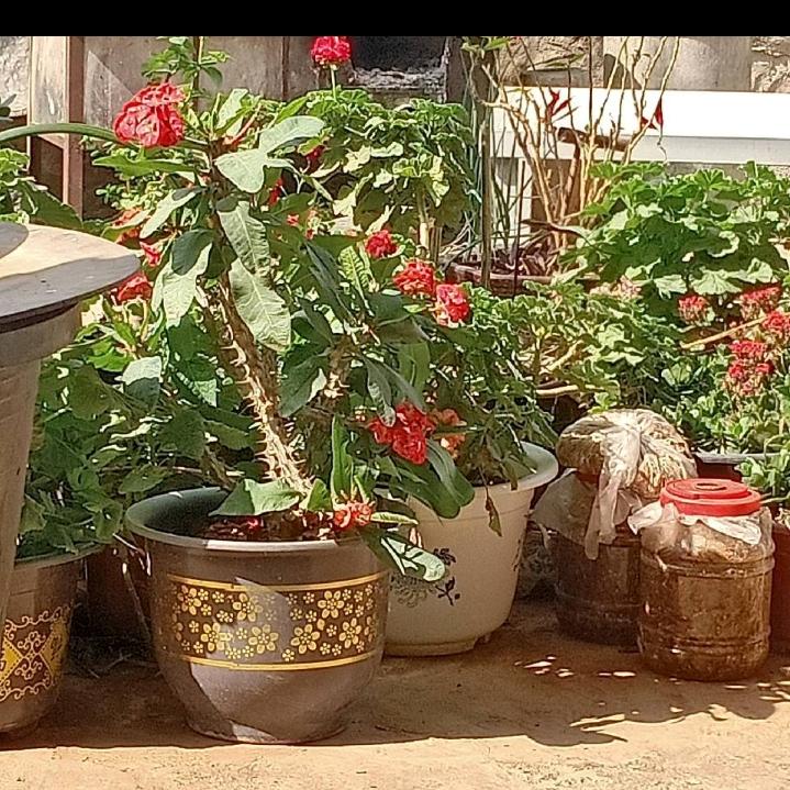 生死有命，富贵在天