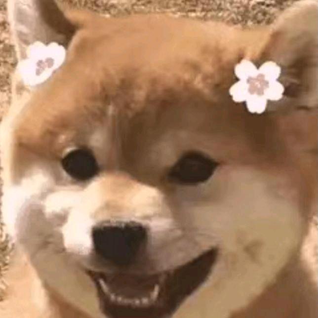 ZC子