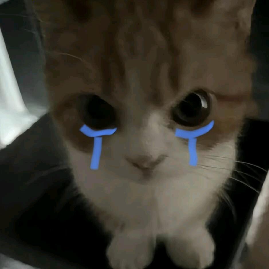 郑州下雪就分离