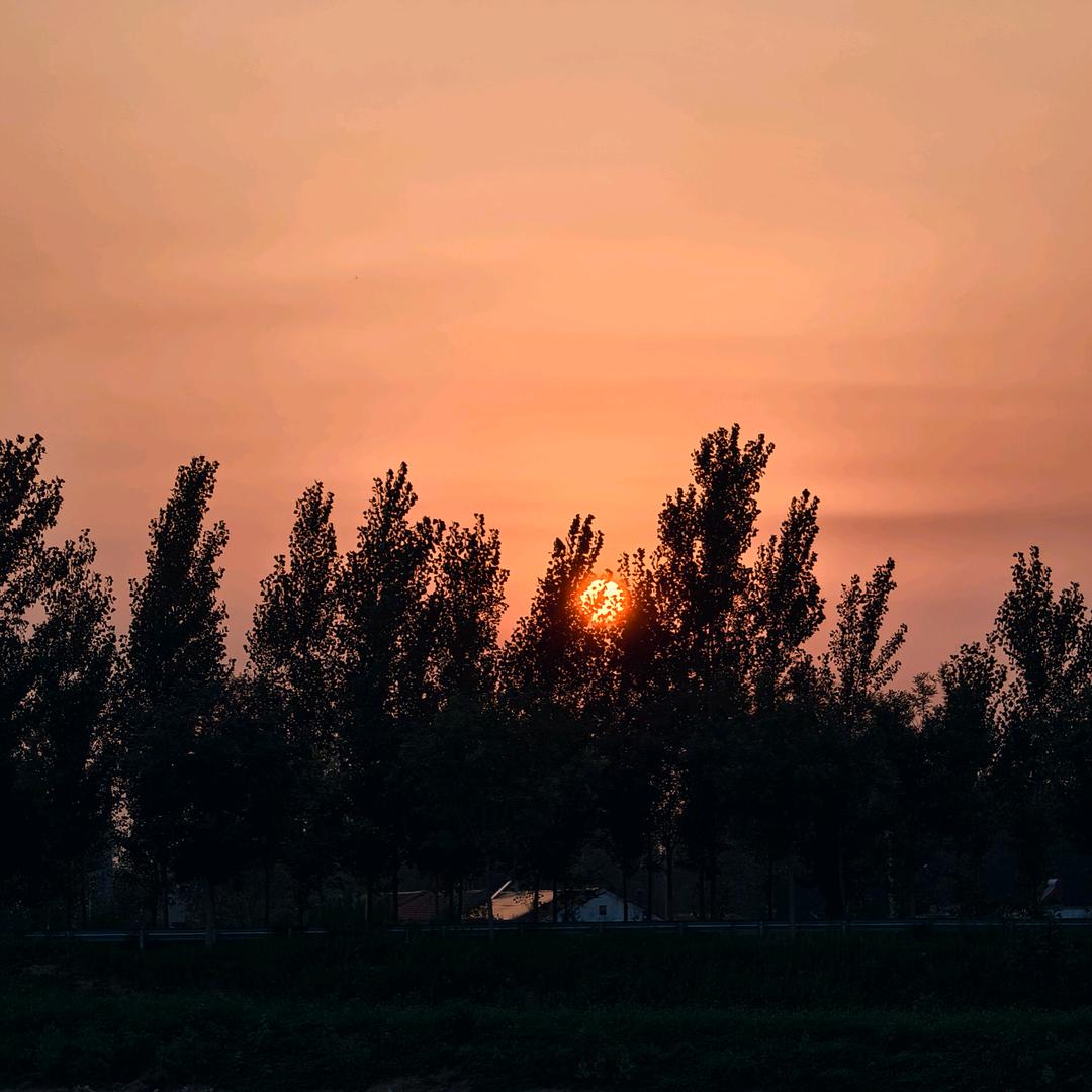 ღ᭄ 余生ᝰᩚ随心