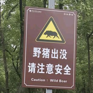 唐人周