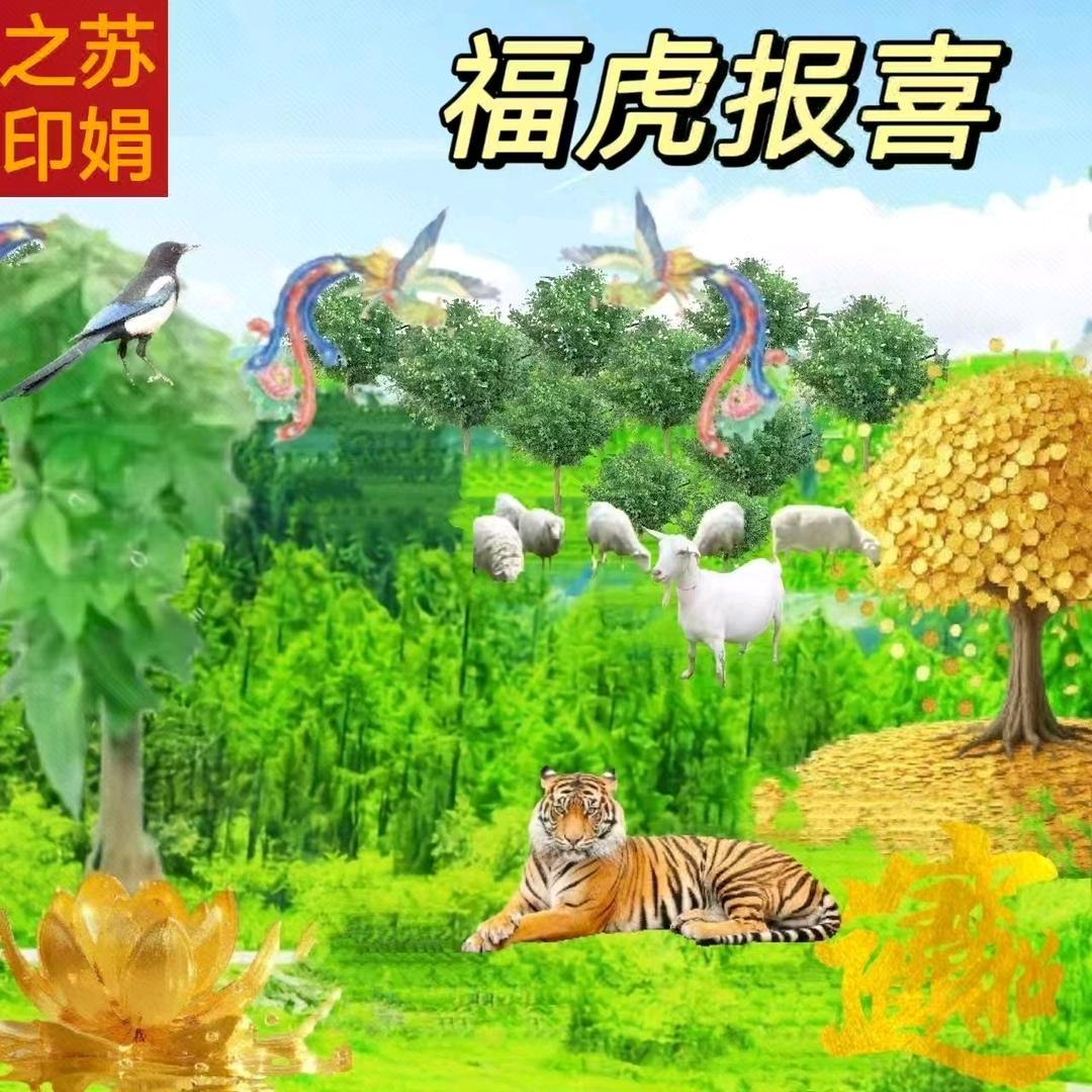 虎🐯虎🐯