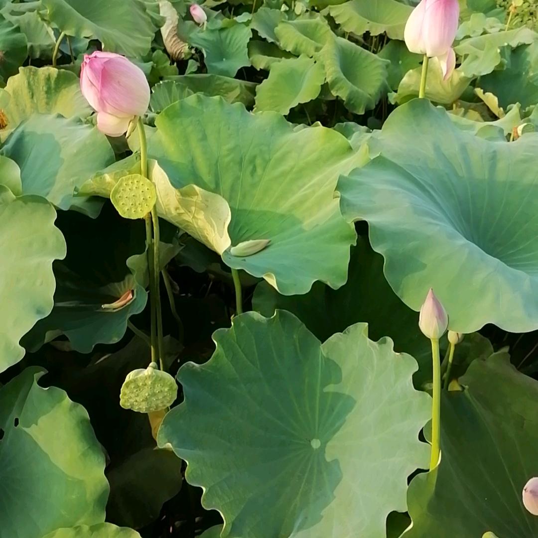 相见是缘❄️🔪