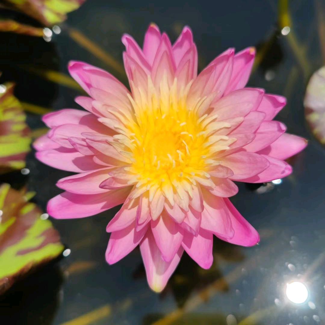 人生除了生死，其他的都是擦伤