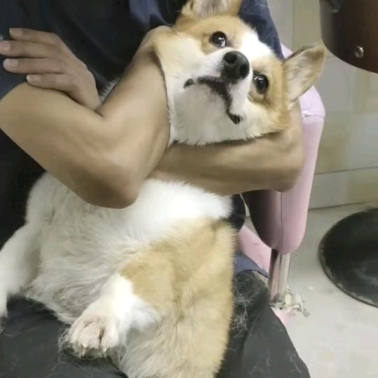 锁狗大队长