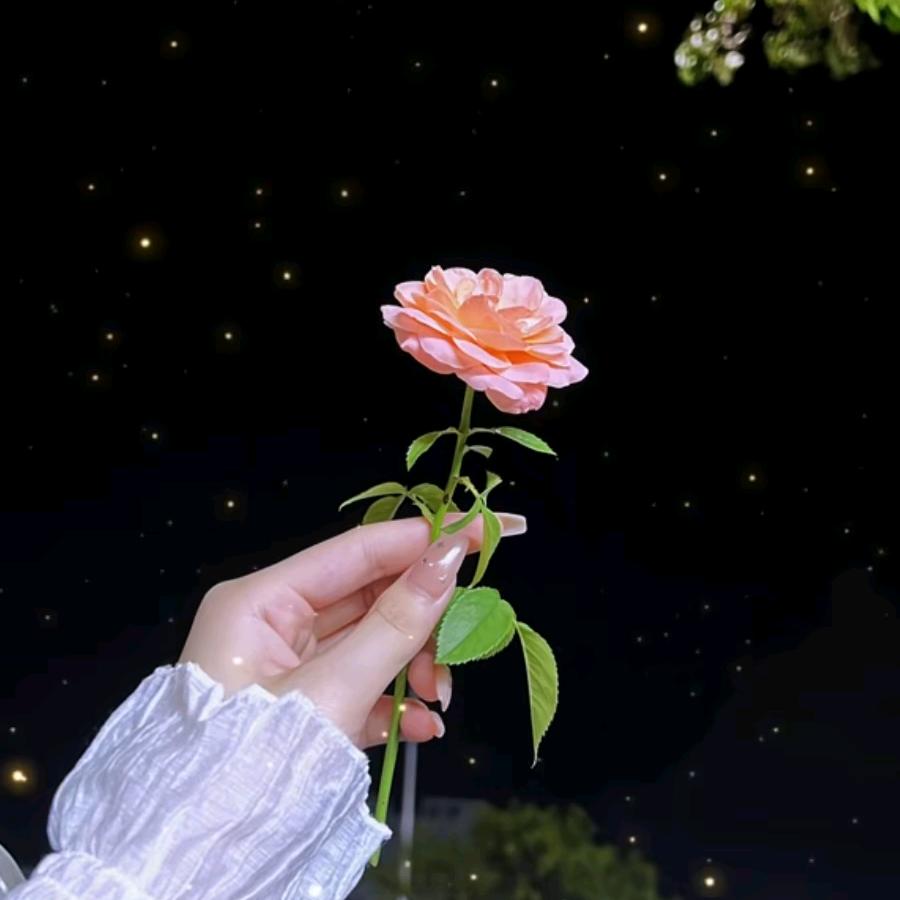 人间清醒