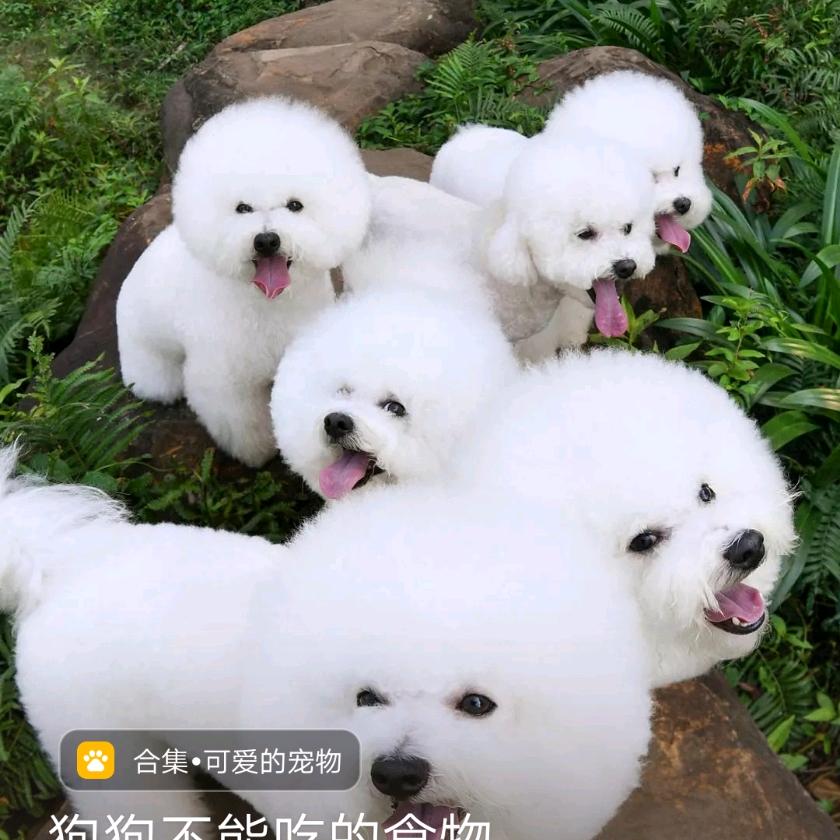 红尘劫