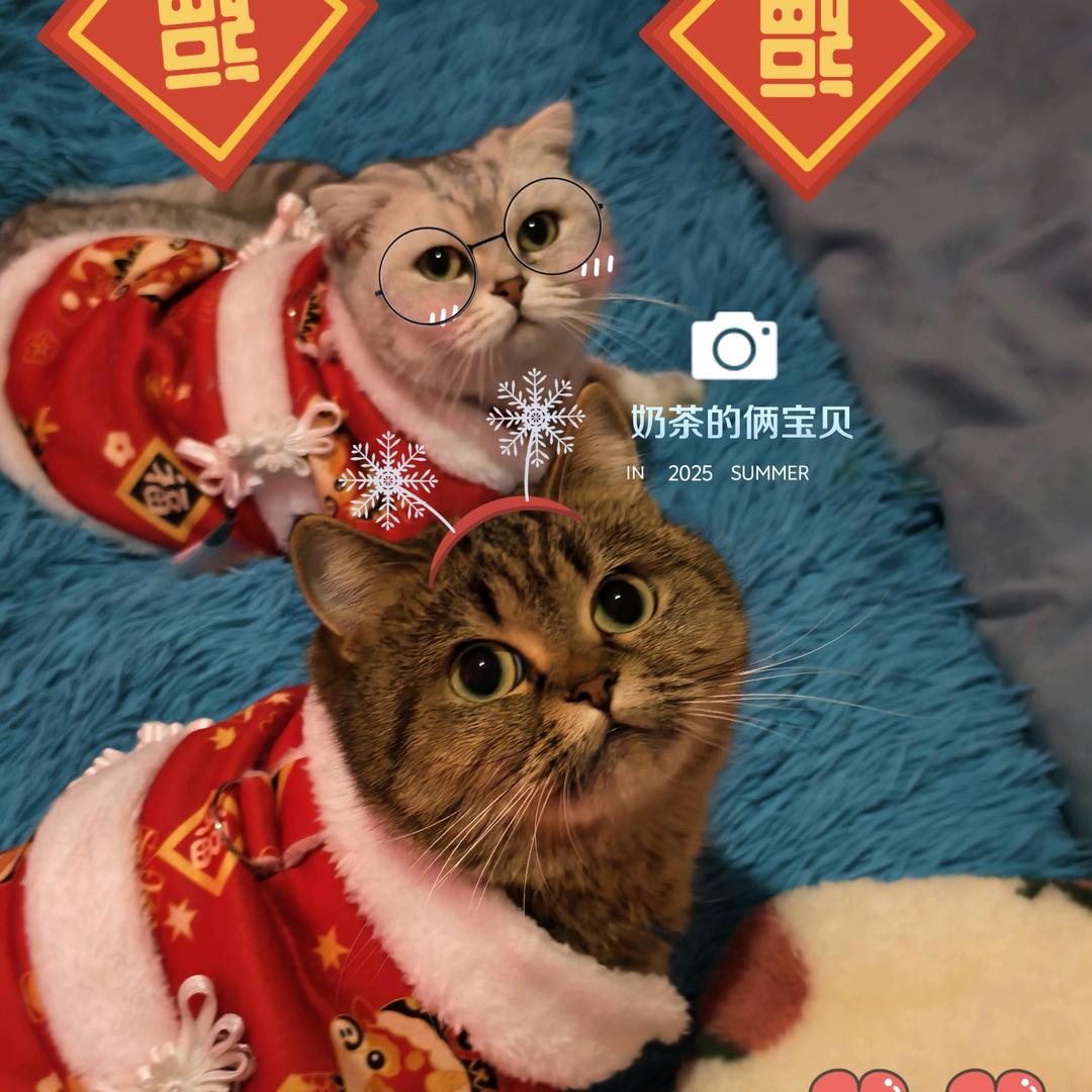 小奶茶🍼🍼🍼