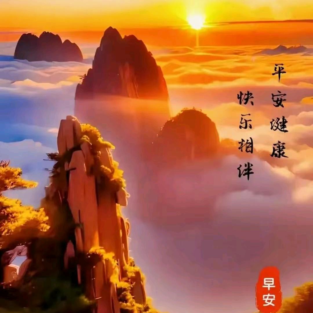 এ᭄展望未来[玫瑰]ོ࿐ᩚ