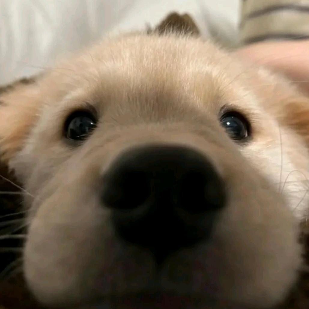 武汉质心网络科技有限公司-小张