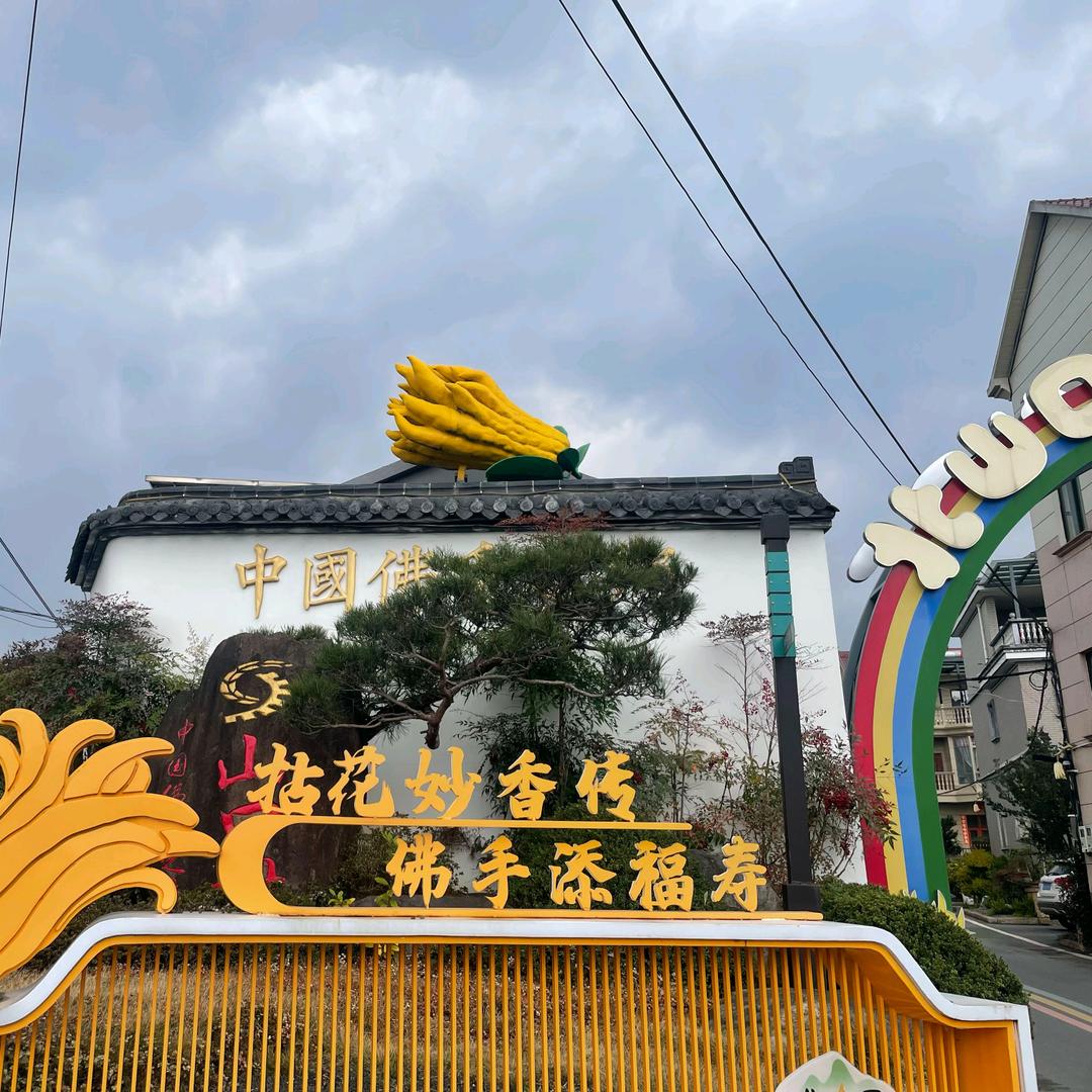 金华山栎佛手基地