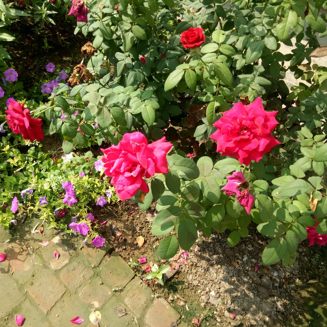 行行行