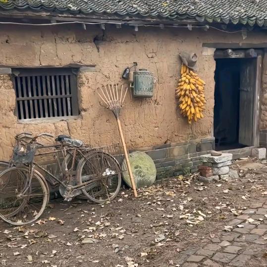 农村情报大队3队