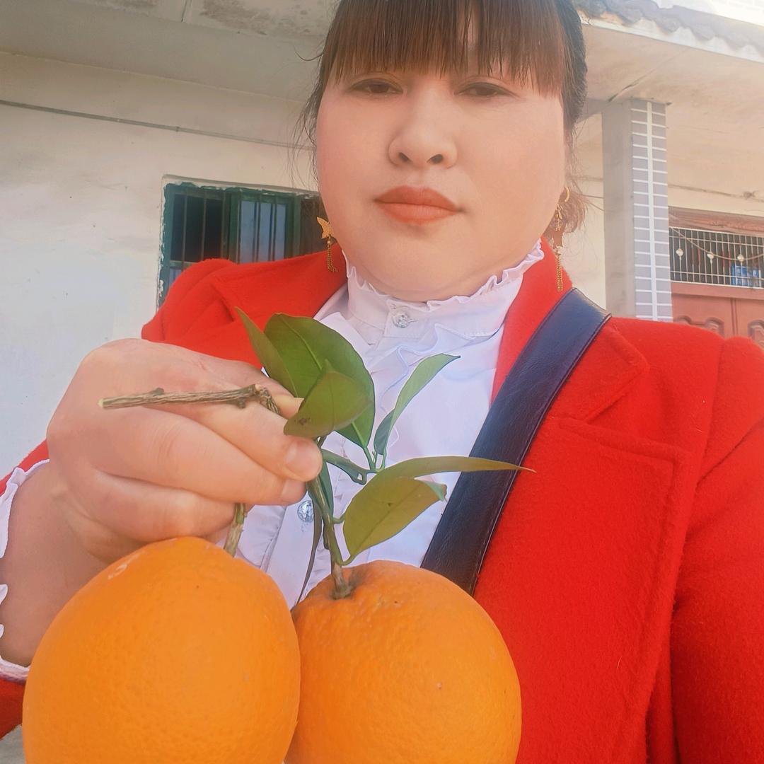 奉节敏姐脐橙批发公司