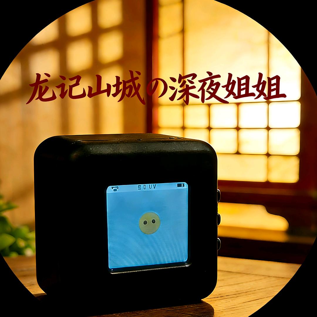 龙记山城の深夜姐姐