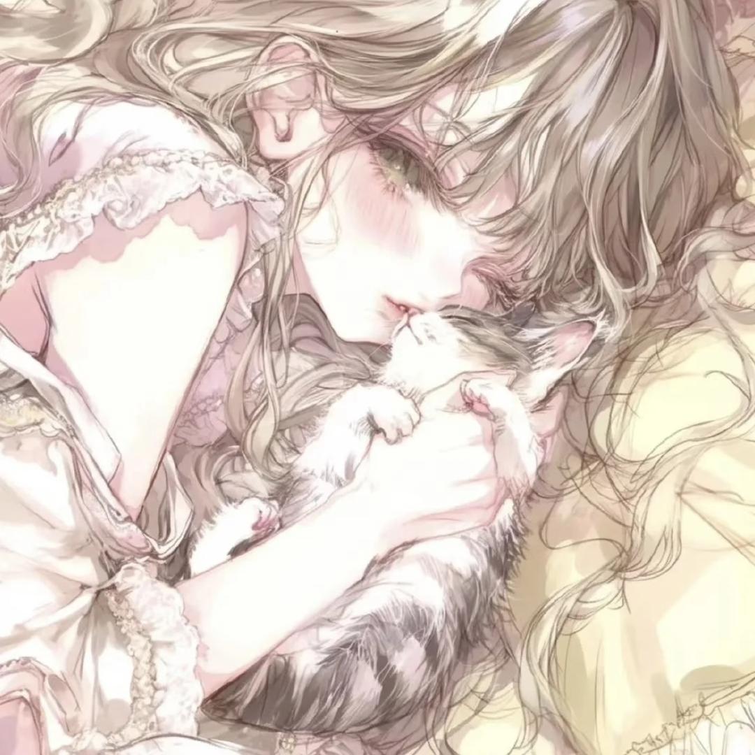太阳猫