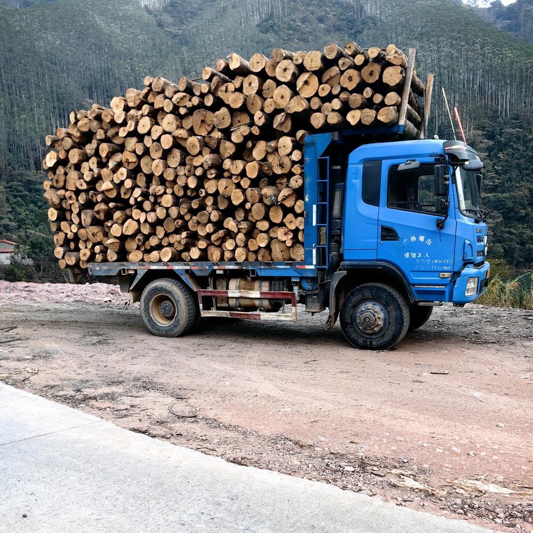 余生，请多指教