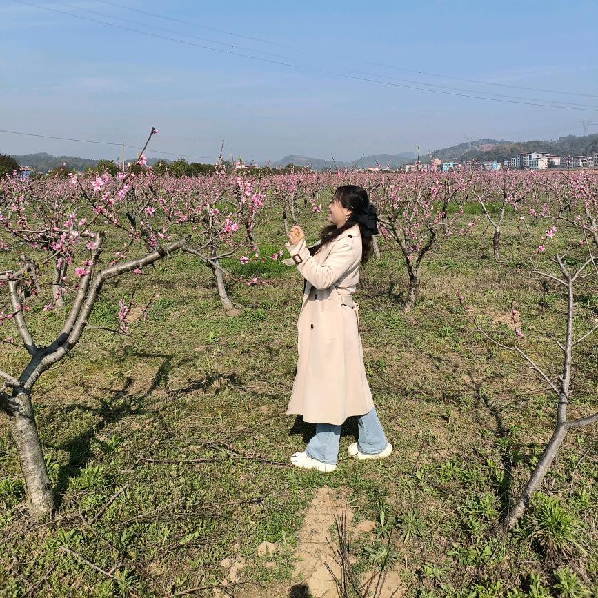 秋水微澜