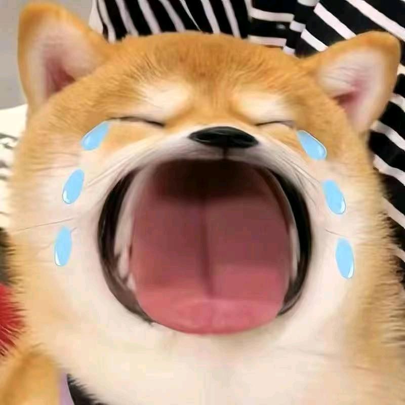 奇迹